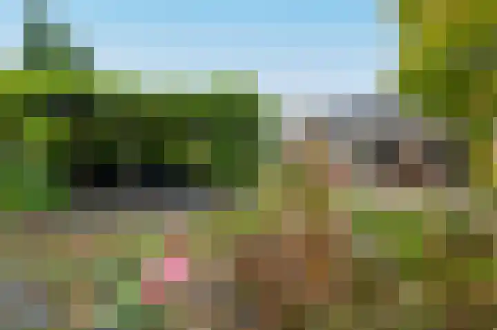 Bosruiterweg 25 60 Zeewolde thumbnail 35