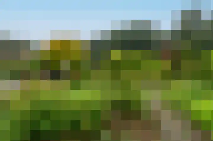 Bosruiterweg 25 60 Zeewolde thumbnail 36