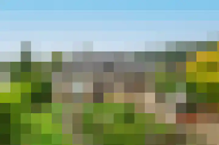 Bosruiterweg 25 60 Zeewolde thumbnail 37