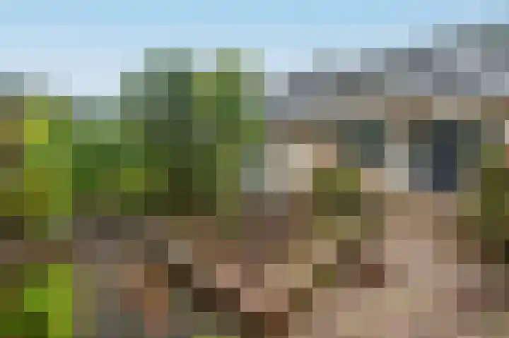 Bosruiterweg 25 60 Zeewolde thumbnail 39