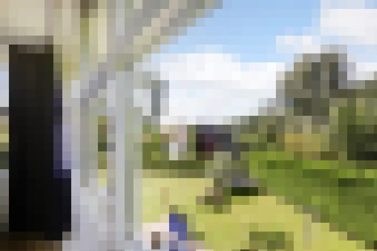 Bosruiterweg 25 7 Zeewolde thumbnail 18