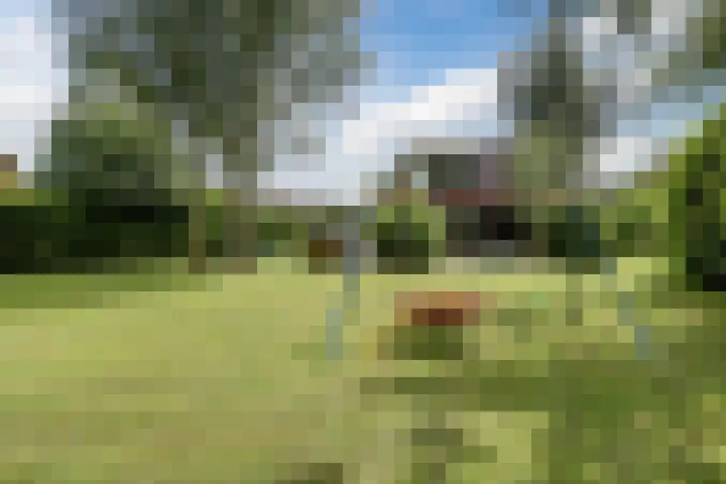 Bosruiterweg 25 7 Zeewolde thumbnail 27