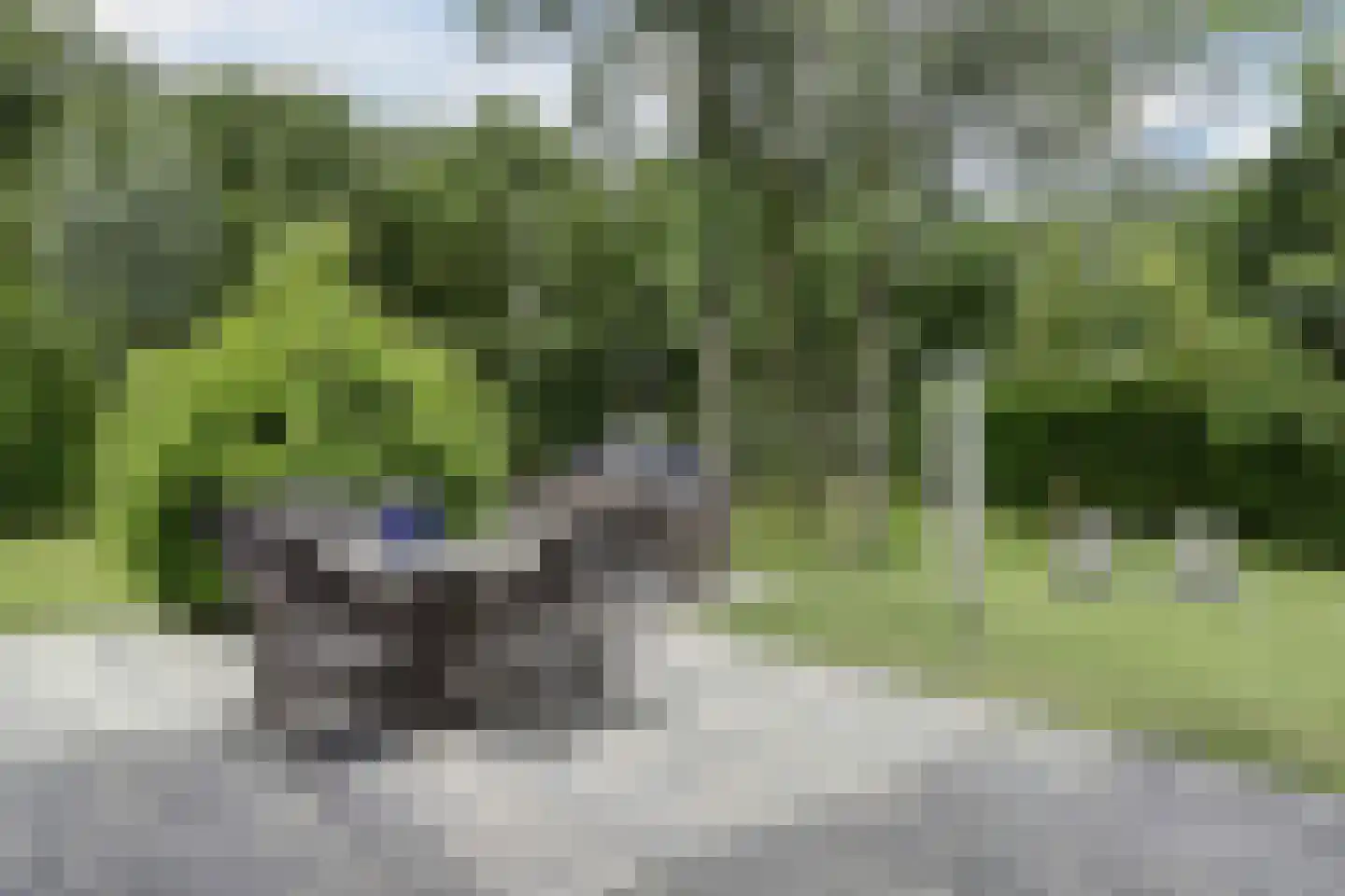 Bosruiterweg 25 7 Zeewolde thumbnail 29