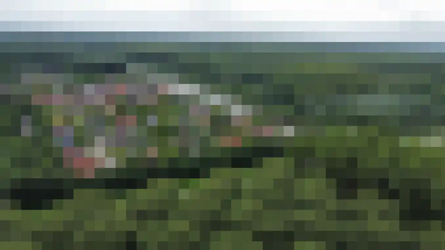 Bosruiterweg 25 7 Zeewolde thumbnail 36