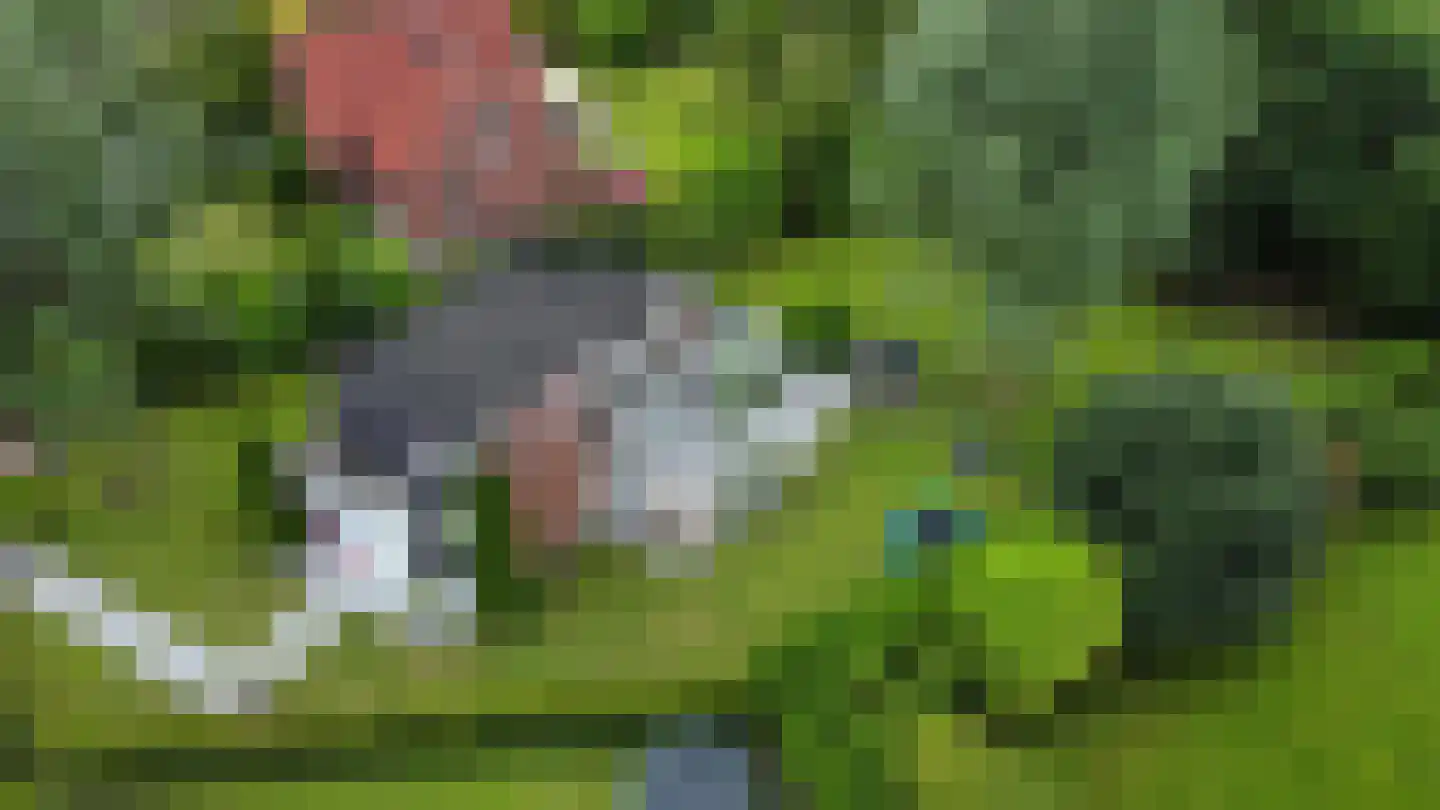 Bosruiterweg 25 7 Zeewolde thumbnail 38