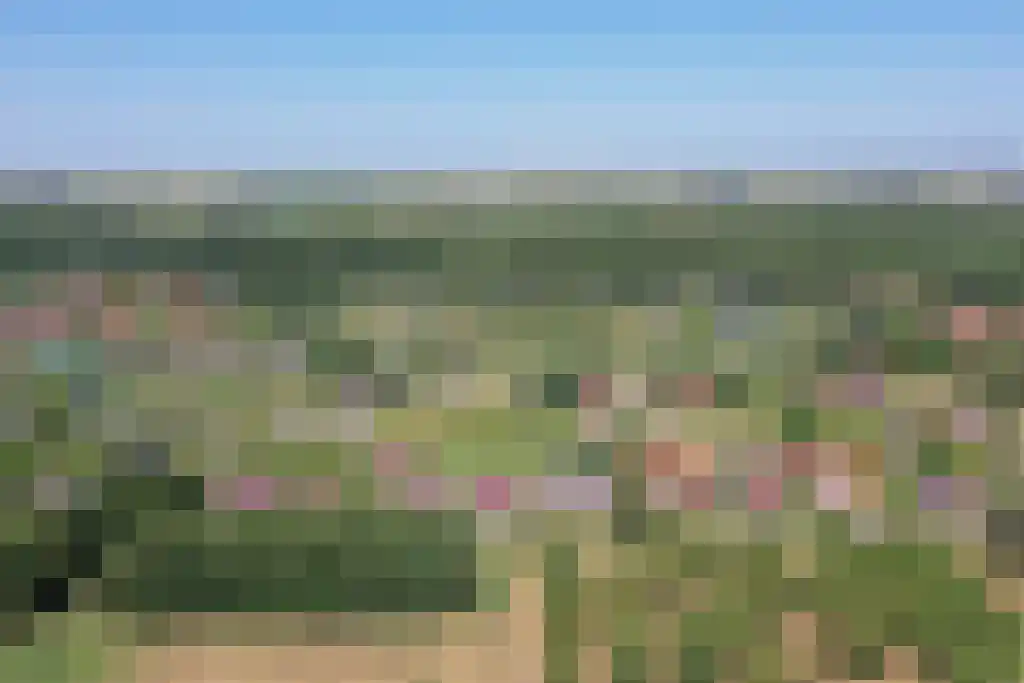 Bosruiterweg 25 82 Zeewolde thumbnail 47