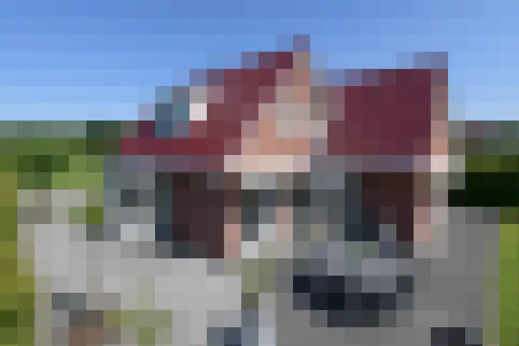 Bosruiterweg 25 82 Zeewolde thumbnail 50
