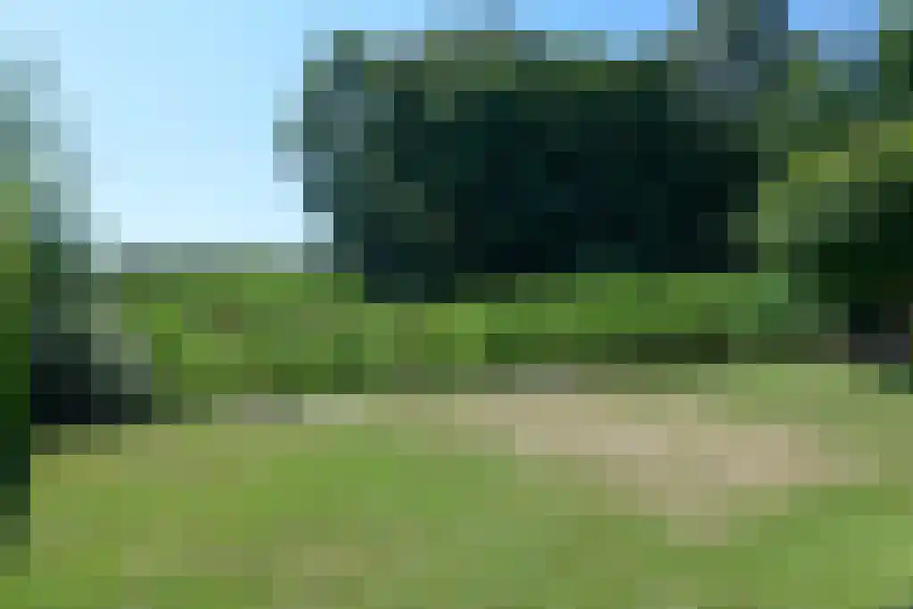 Bosruiterweg 25 82 Zeewolde thumbnail 60