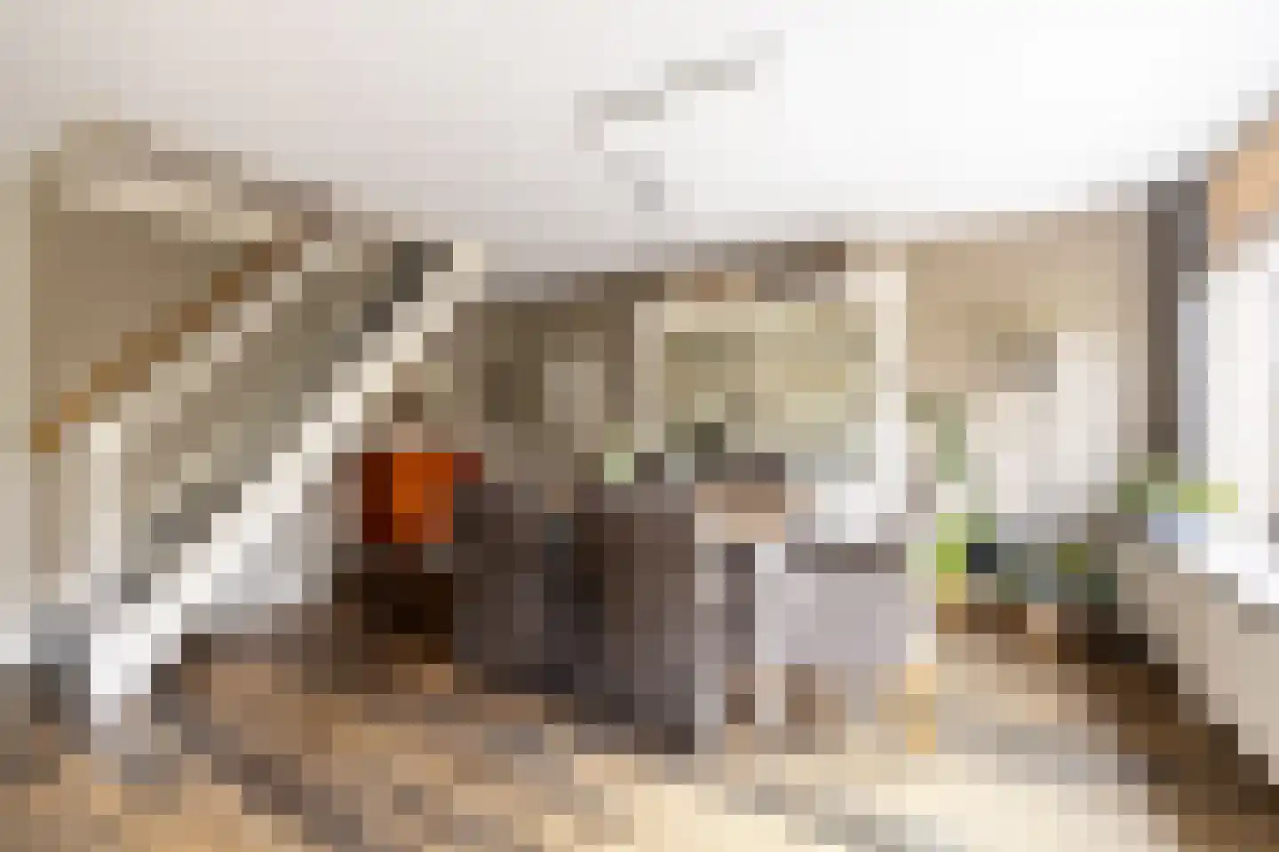 Bossa Novastraat 59 Purmerend thumbnail 15