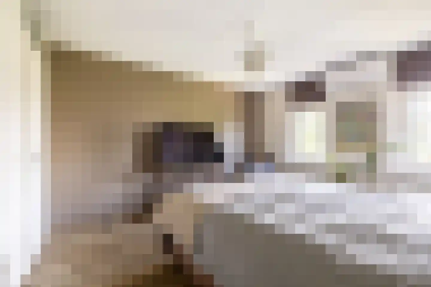 Bossa Novastraat 59 Purmerend thumbnail 26