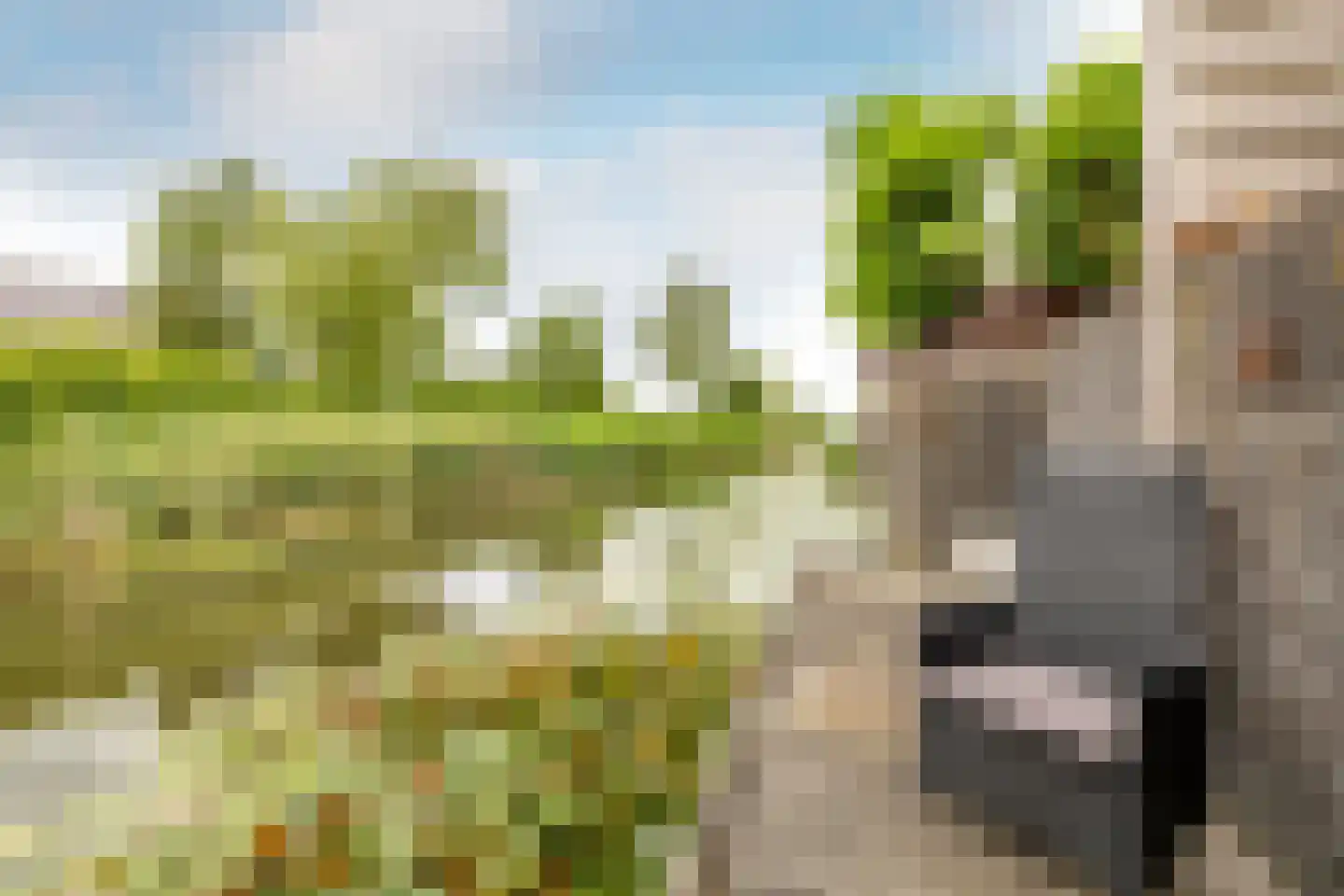 Bossa Novastraat 59 Purmerend thumbnail 55