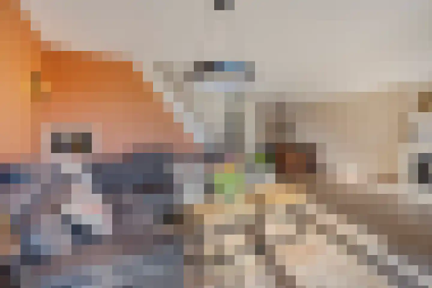 Bossa Novastraat 81 Purmerend thumbnail 15