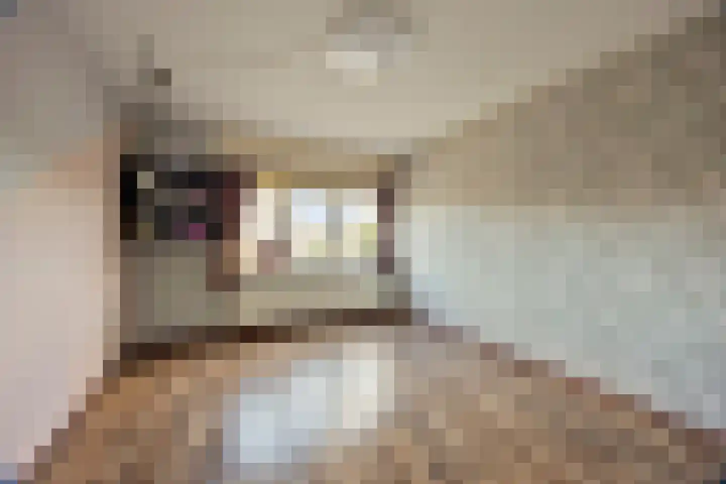 Bossa Novastraat 81 Purmerend thumbnail 37