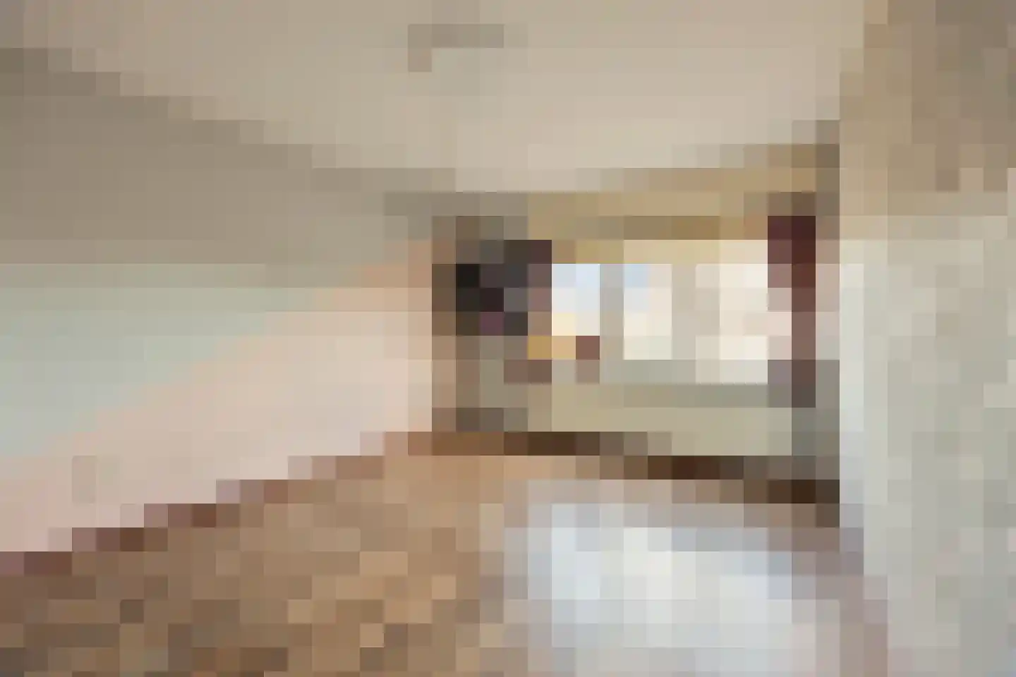 Bossa Novastraat 81 Purmerend thumbnail 39