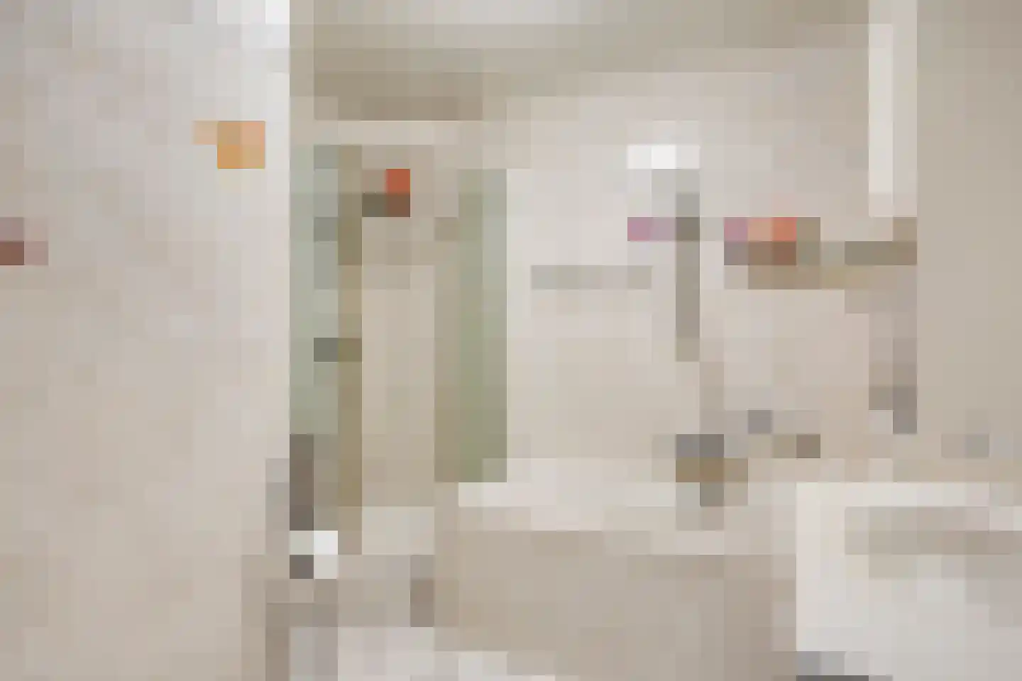 Bossa Novastraat 81 Purmerend thumbnail 6