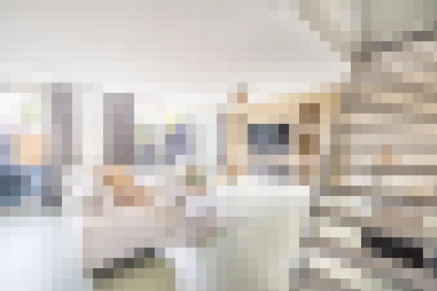 Bossa Novastraat 89 Purmerend thumbnail 10