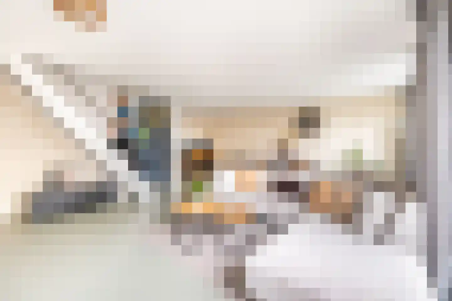 Bossa Novastraat 89 Purmerend thumbnail 12