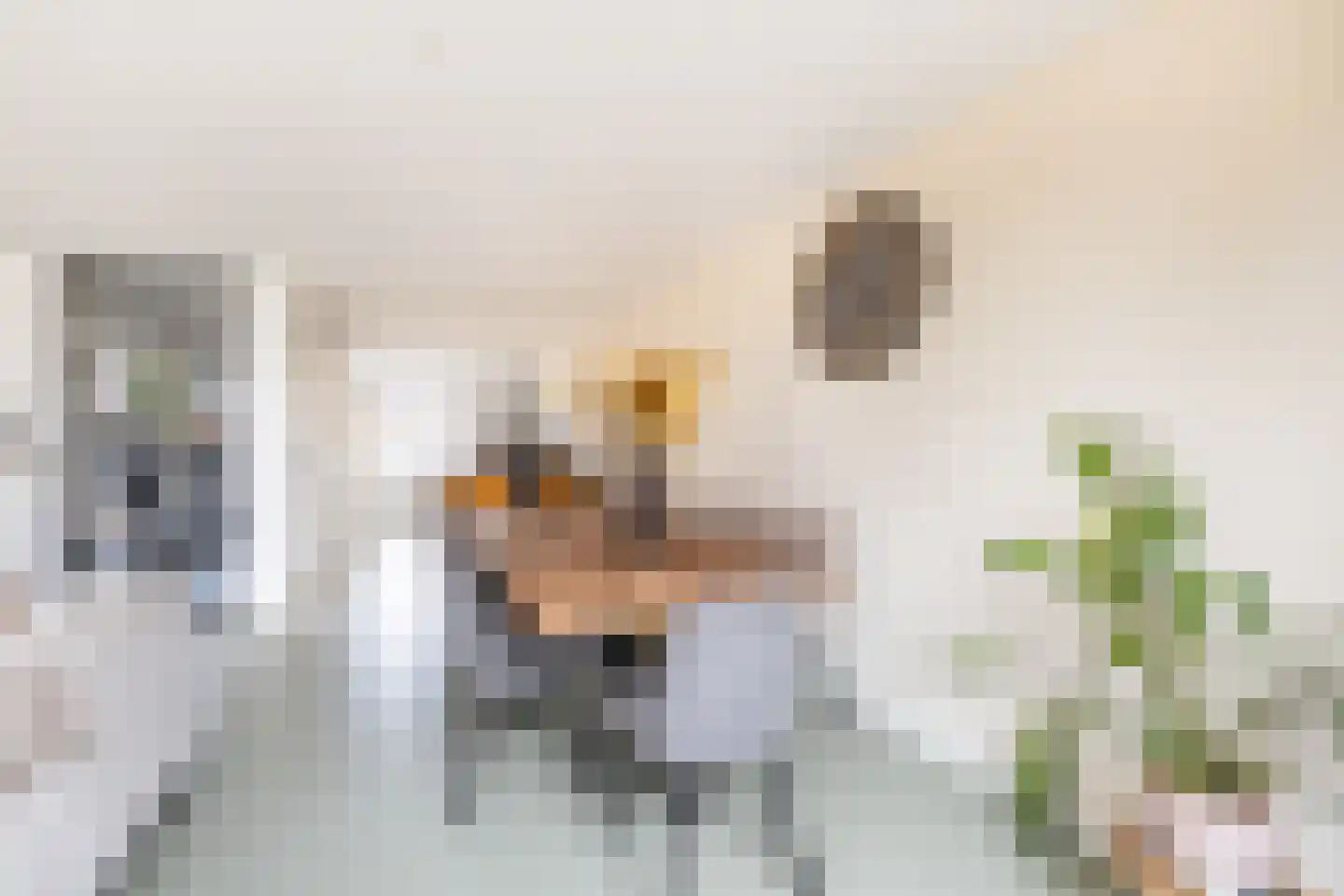 Bossa Novastraat 89 Purmerend thumbnail 18