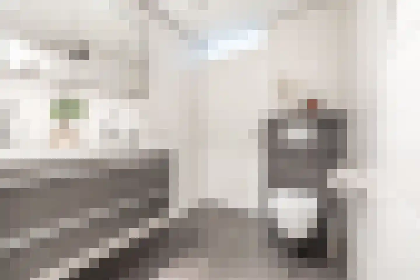 Bossa Novastraat 89 Purmerend thumbnail 32