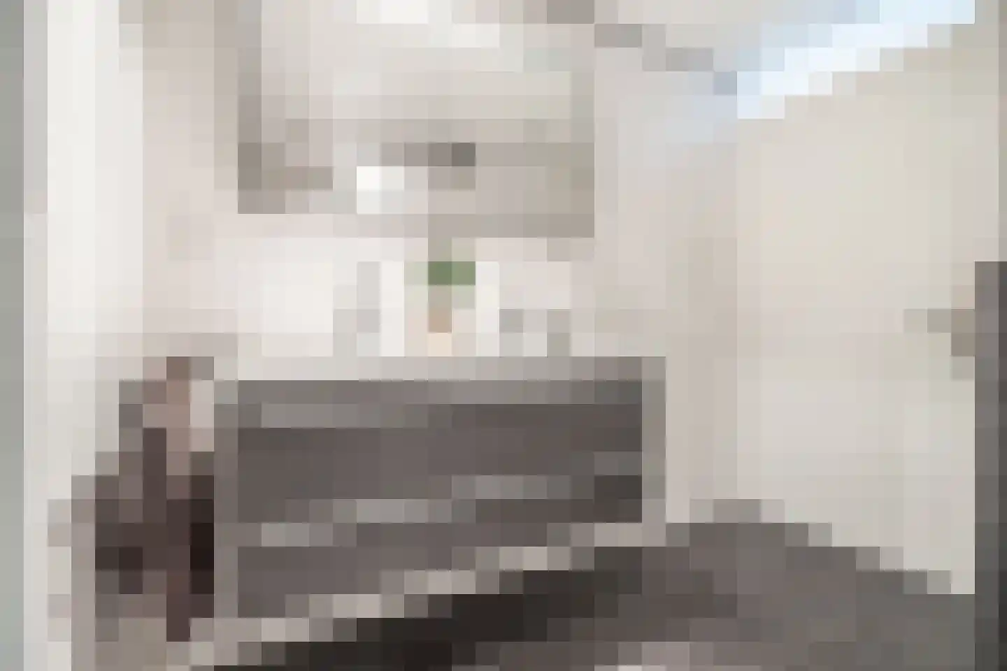 Bossa Novastraat 89 Purmerend thumbnail 33