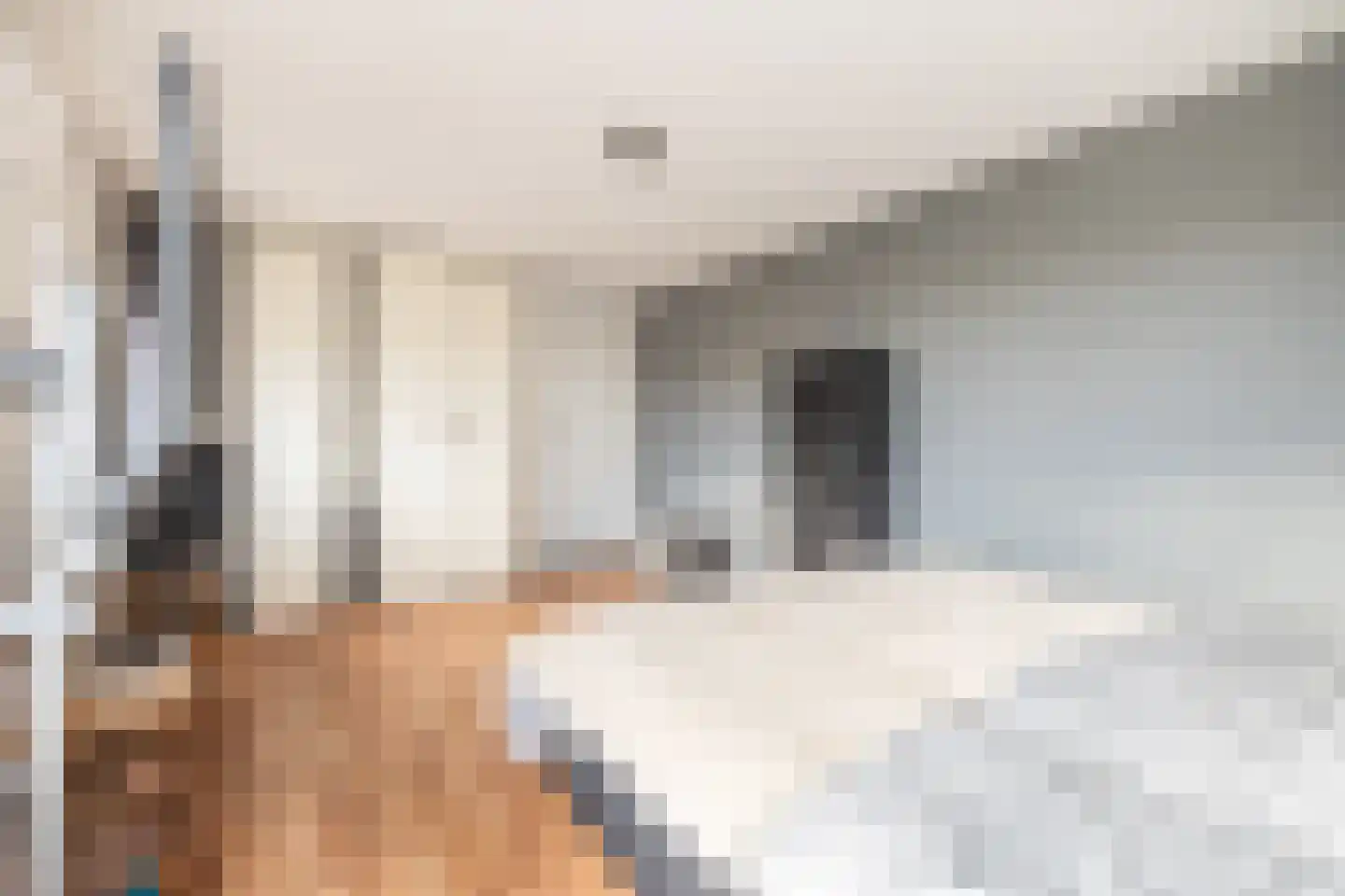 Bossa Novastraat 89 Purmerend thumbnail 36