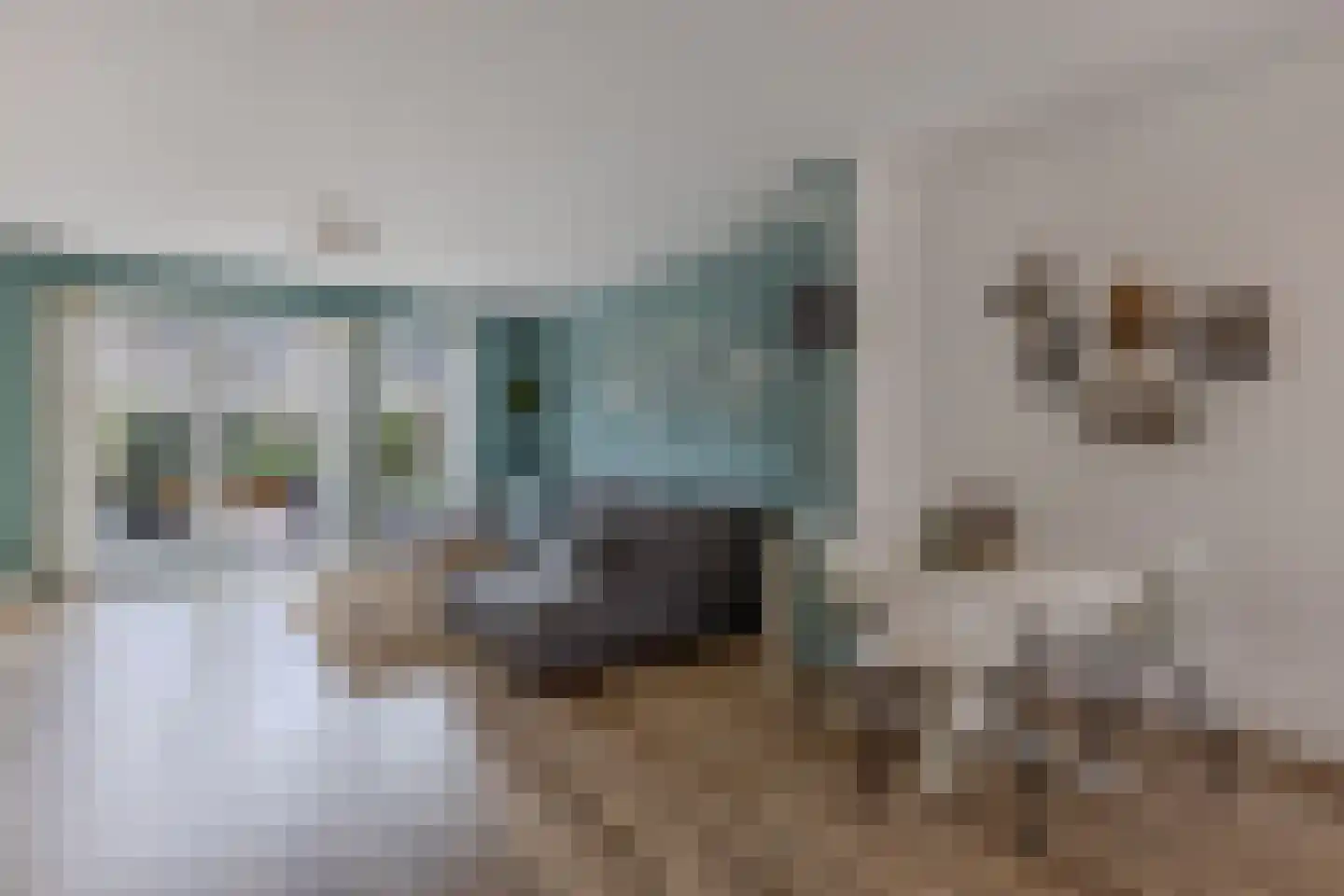Bosschaertpad 7 Alkmaar thumbnail 12