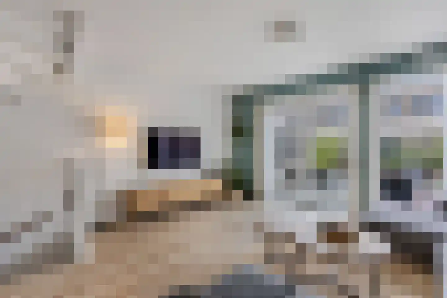 Bosschaertpad 7 Alkmaar thumbnail 15