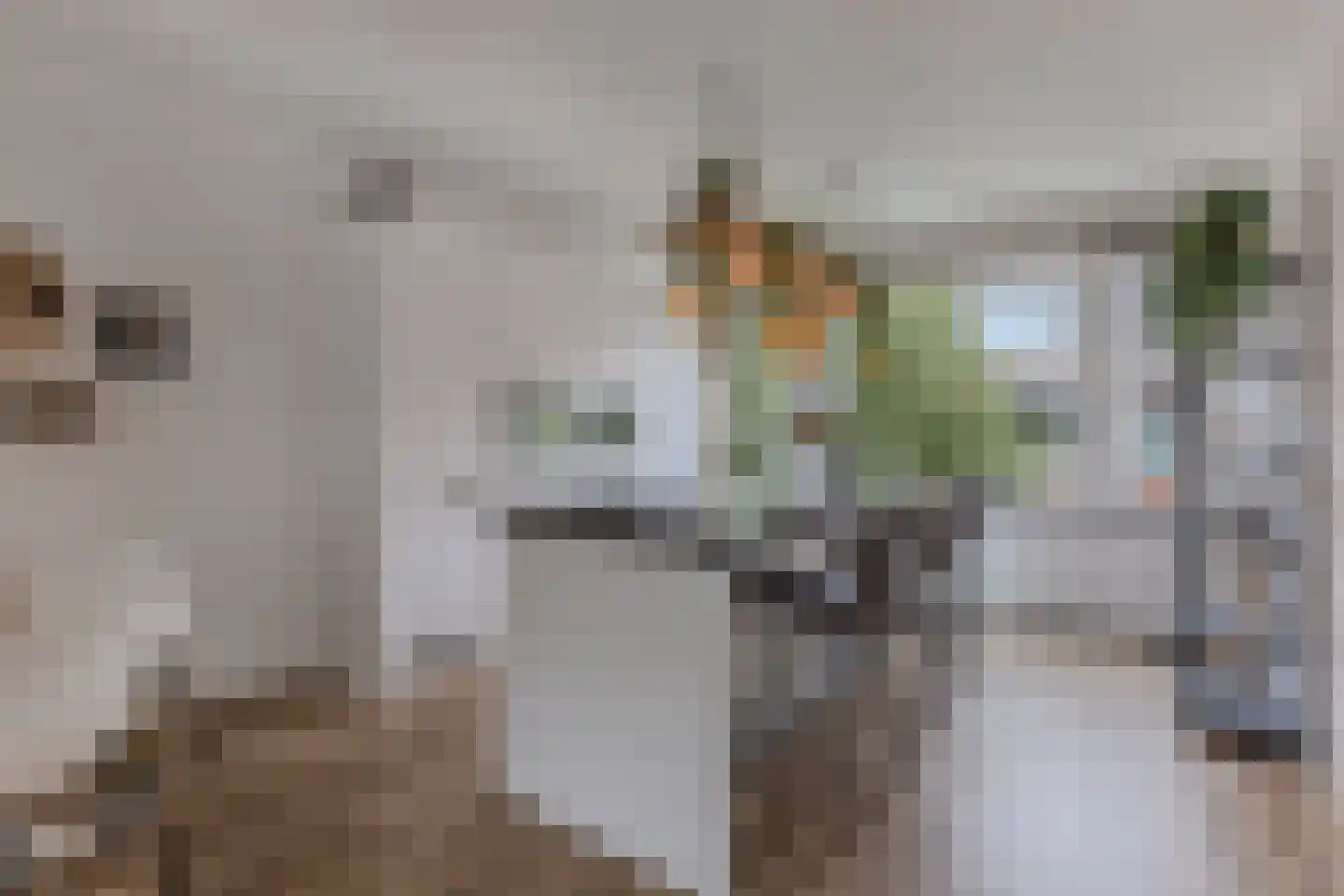 Bosschaertpad 7 Alkmaar thumbnail 21