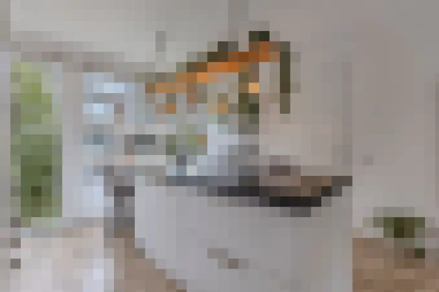 Bosschaertpad 7 Alkmaar thumbnail 23