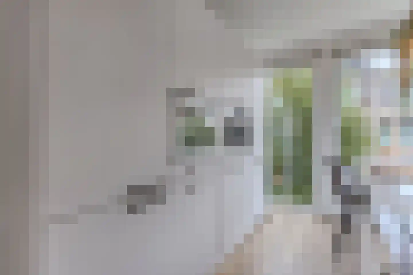 Bosschaertpad 7 Alkmaar thumbnail 24