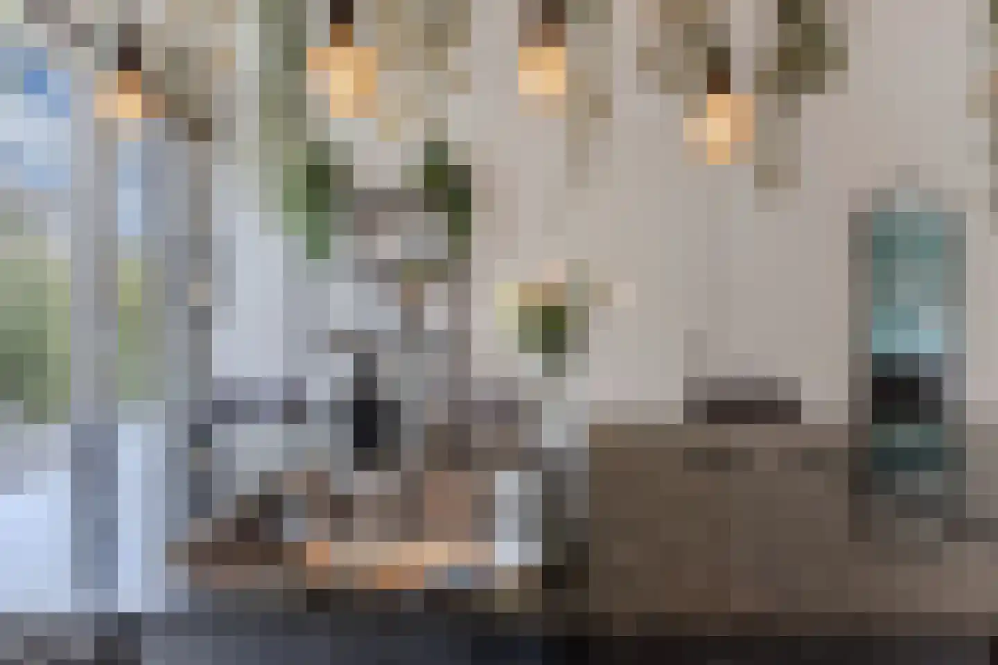 Bosschaertpad 7 Alkmaar thumbnail 25