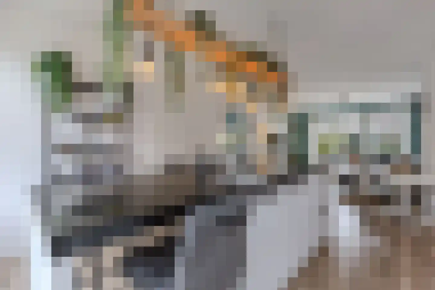 Bosschaertpad 7 Alkmaar thumbnail 27