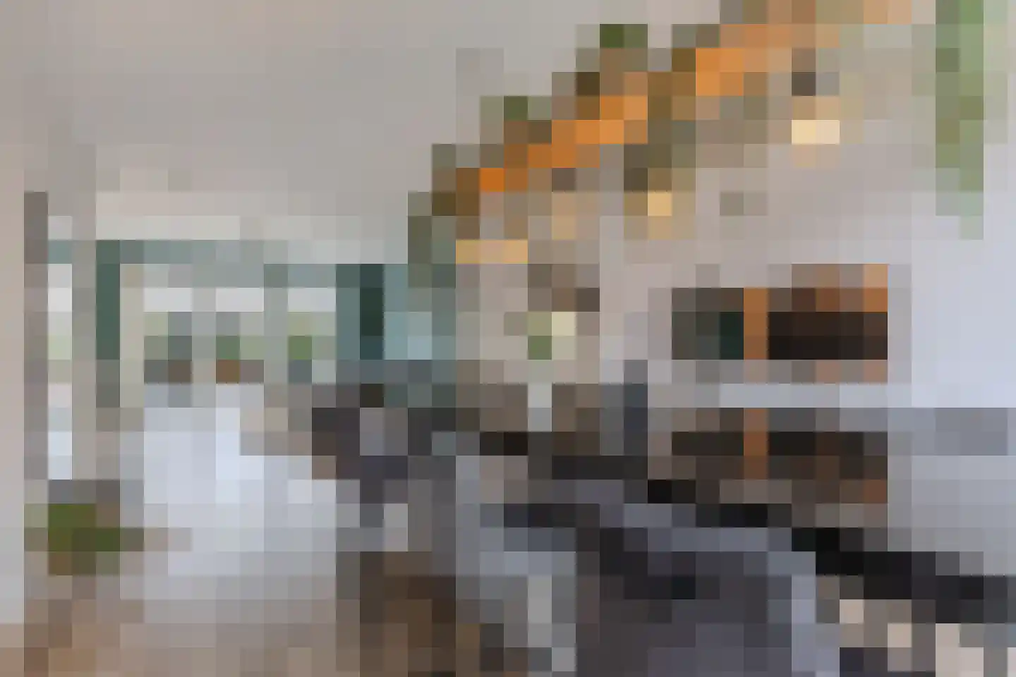 Bosschaertpad 7 Alkmaar thumbnail 29