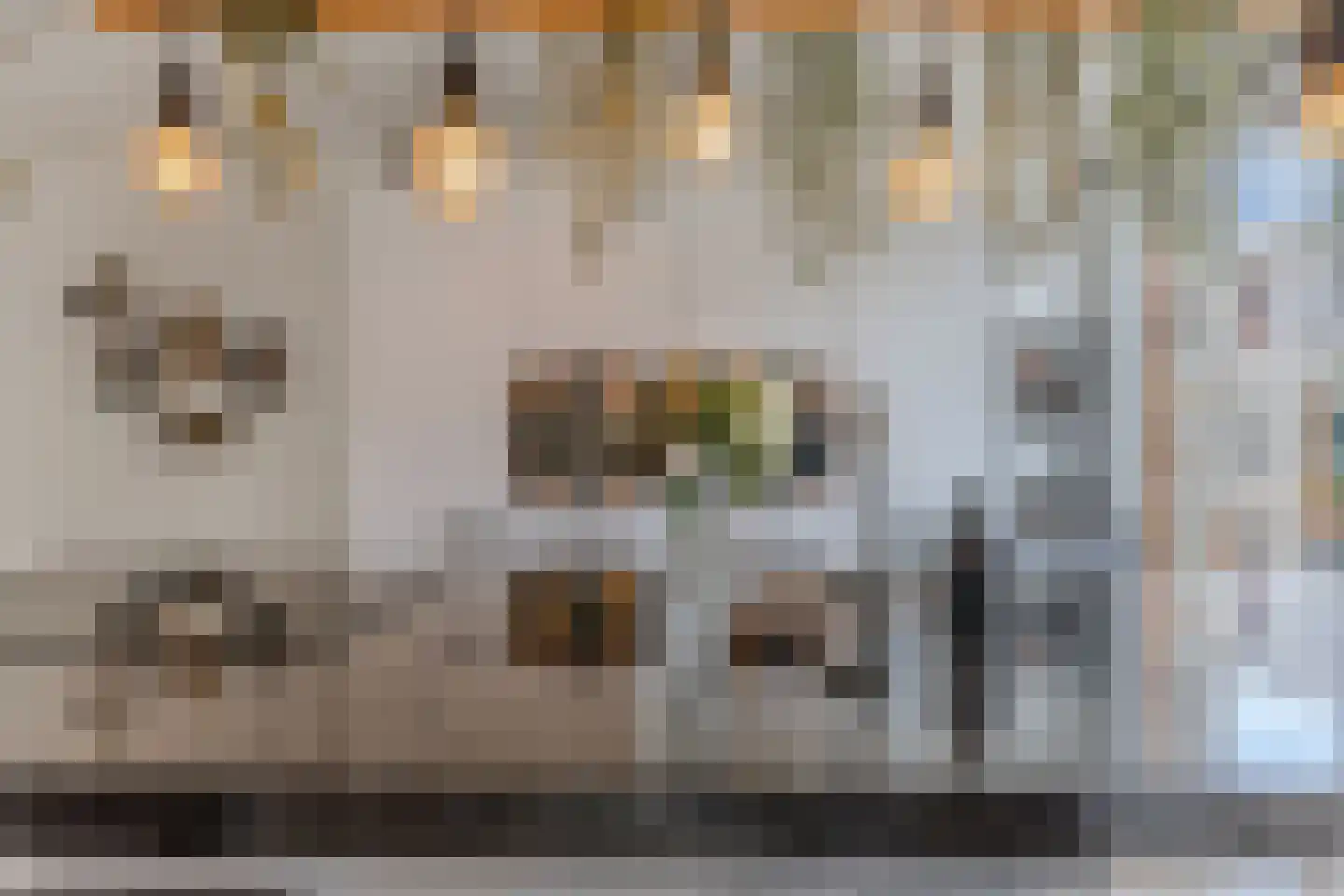 Bosschaertpad 7 Alkmaar thumbnail 30