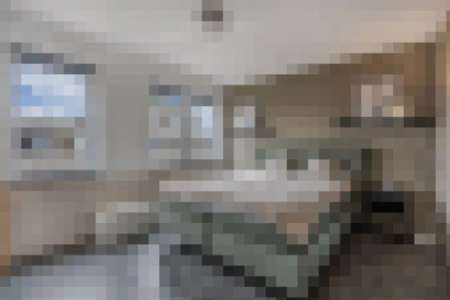 Bosschaertpad 7 Alkmaar thumbnail 32