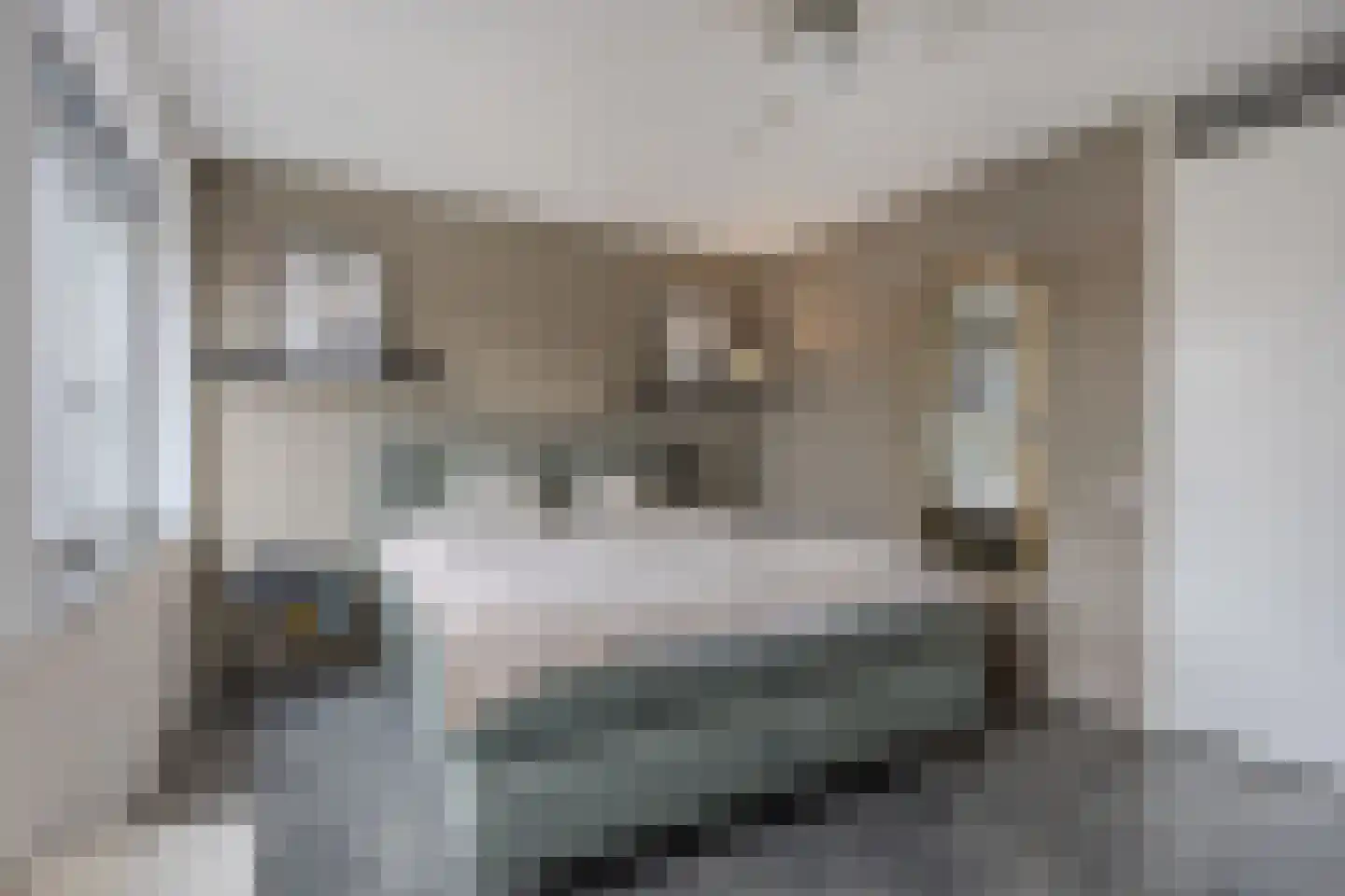 Bosschaertpad 7 Alkmaar thumbnail 33