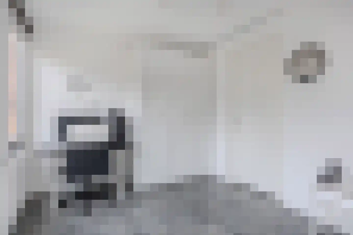 Bosschaertpad 7 Alkmaar thumbnail 39