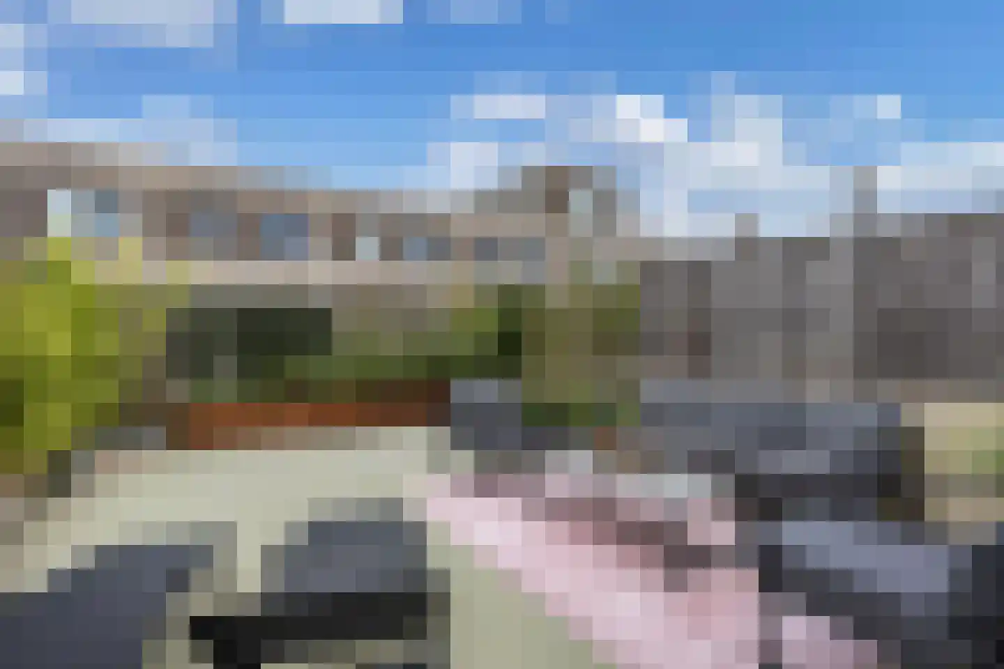 Bosschaertpad 7 Alkmaar thumbnail 46