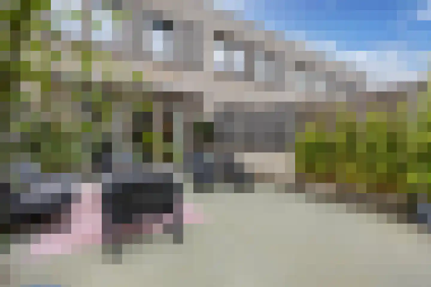 Bosschaertpad 7 Alkmaar thumbnail 47