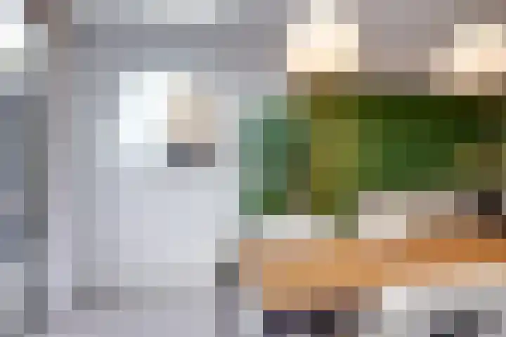 Bosschahof 21 Utrecht thumbnail 11
