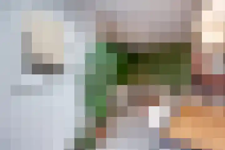 Bosschahof 21 Utrecht thumbnail 12