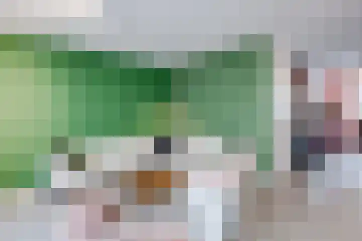 Bosschahof 21 Utrecht thumbnail 15