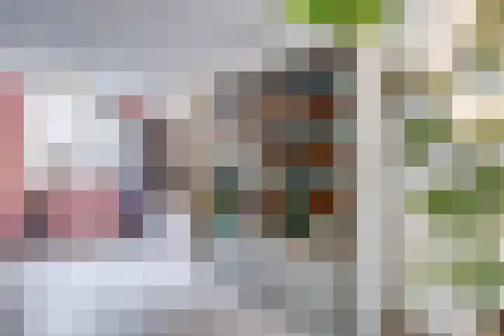 Bosschahof 21 Utrecht thumbnail 17