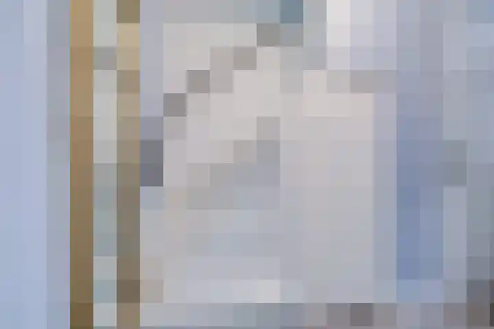 Bosschahof 21 Utrecht thumbnail 22