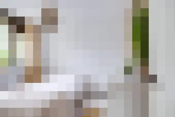 Bosschahof 21 Utrecht thumbnail 25