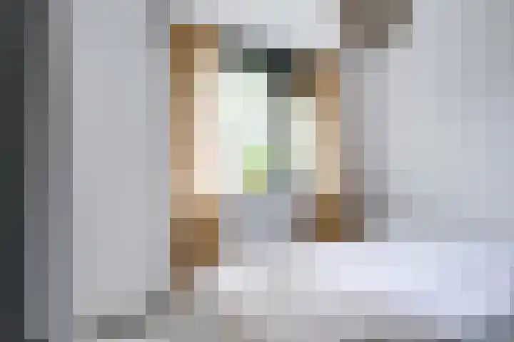 Bosschahof 21 Utrecht thumbnail 26