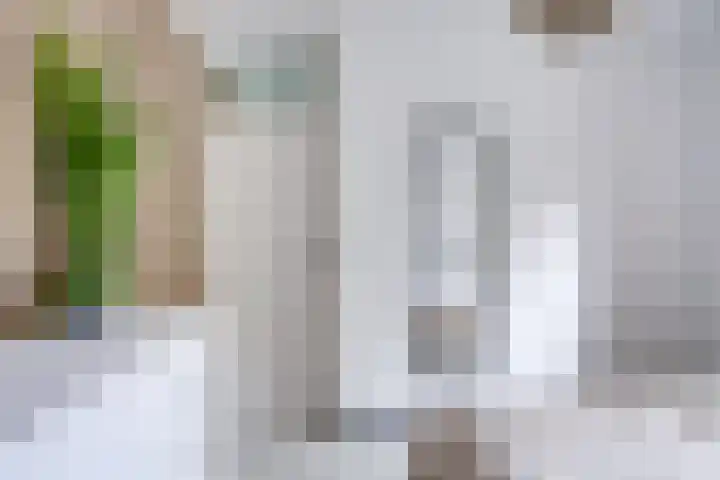 Bosschahof 21 Utrecht thumbnail 27