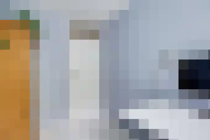 Bosschahof 21 Utrecht thumbnail 29