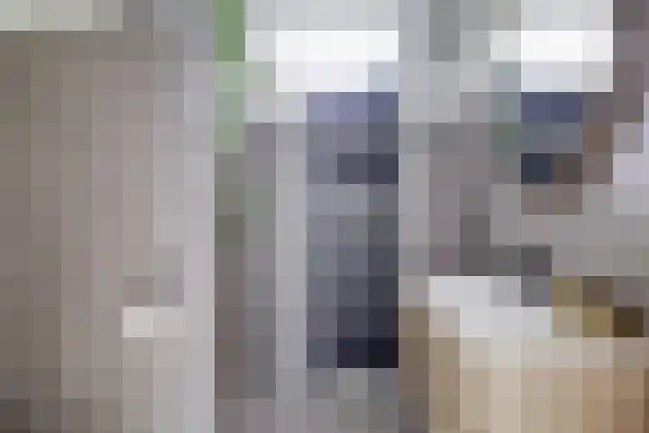Bosschahof 21 Utrecht thumbnail 30
