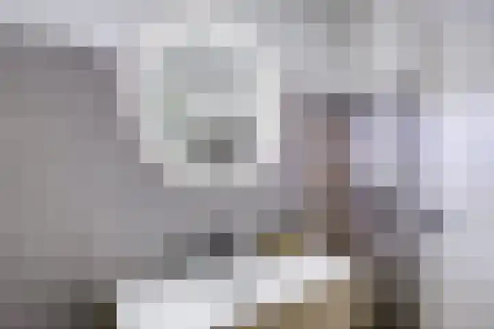 Bosschahof 21 Utrecht thumbnail 32